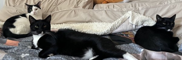 iamkobejohnson Profile Banner