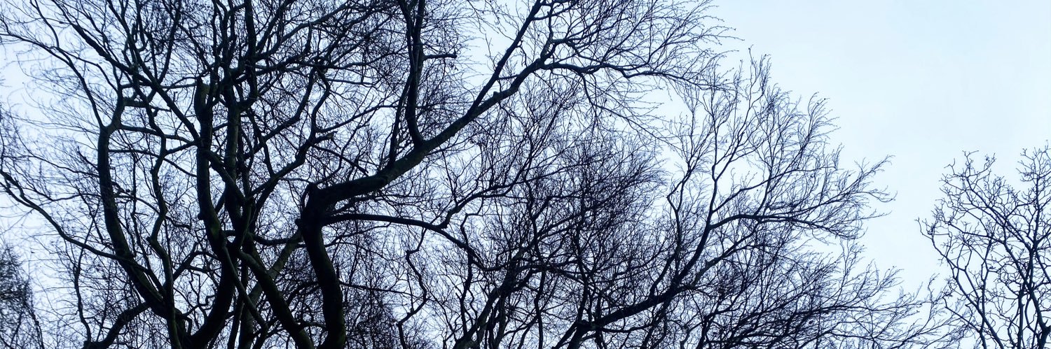 Alice Emily Mortimer banner