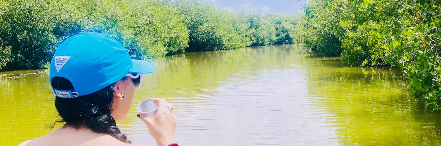 dtdianat's profile banner image