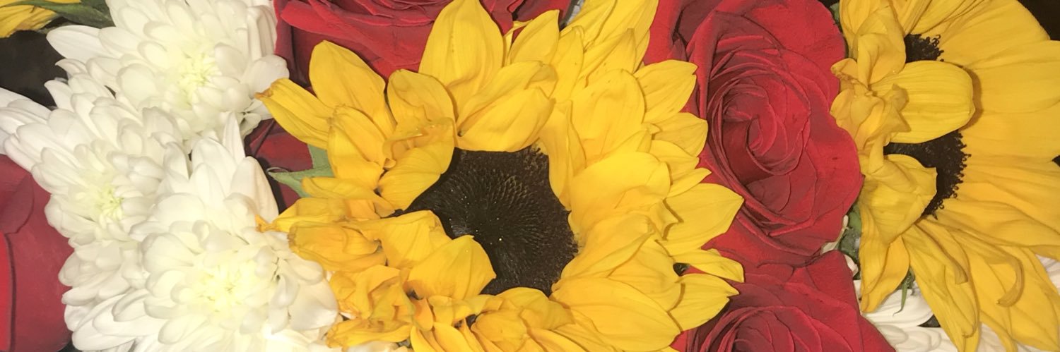 ElsaaDominguez's profile banner image