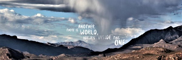 PeccaryNotPig Profile Banner