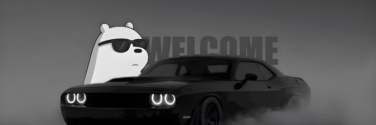 SolanaSphynx's profile banner image