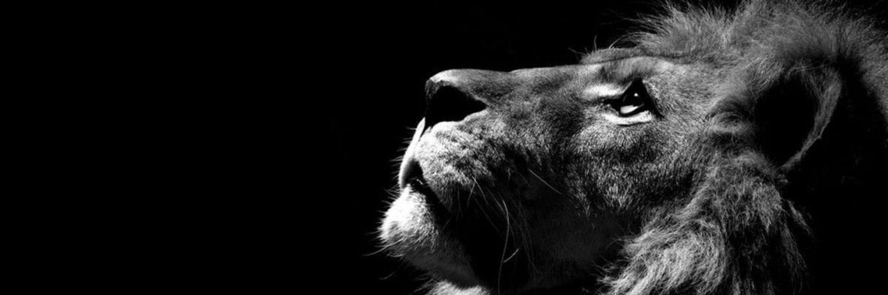 dcallou's profile banner image