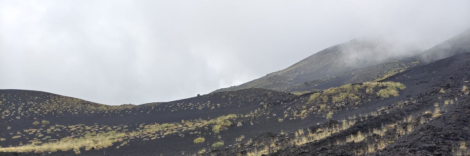 AdPajak's profile banner image