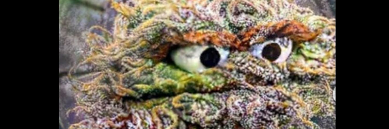 snicklefritzed's profile banner image