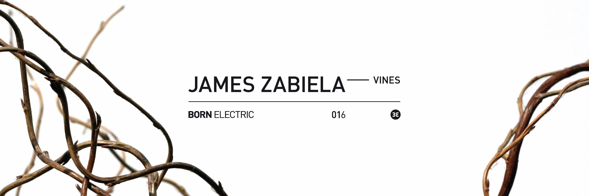 Born Electric banner