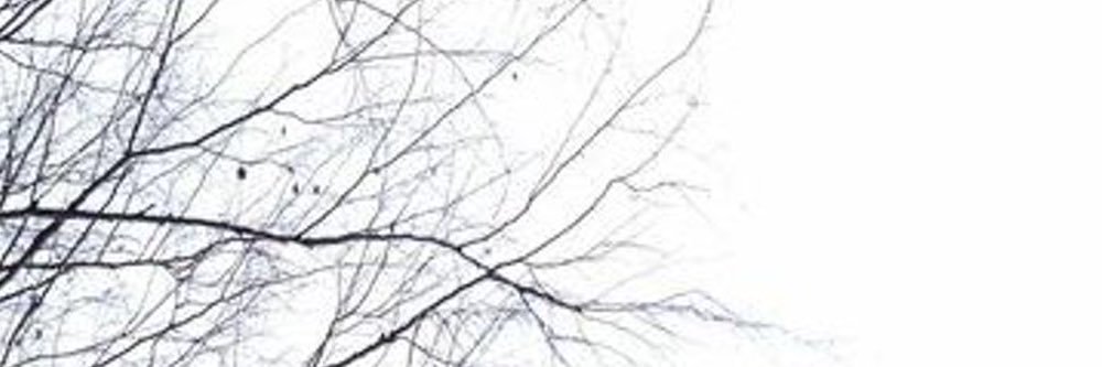 ‏﮼ريم 𒆜 banner