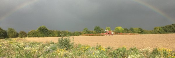 emmahamer2 Profile Banner