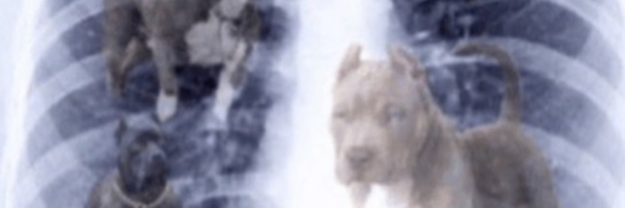 Nicbera33's profile banner image