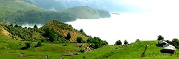 shimadehgkan Profile Banner