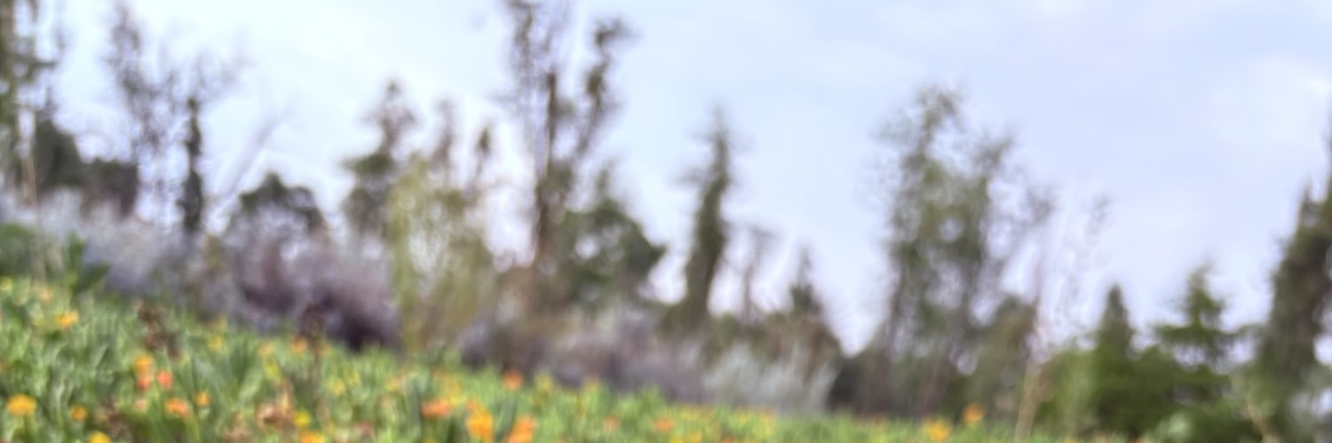 ngelRdzEsc's profile banner image