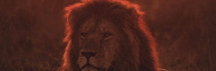 blvck_supaman's profile banner image