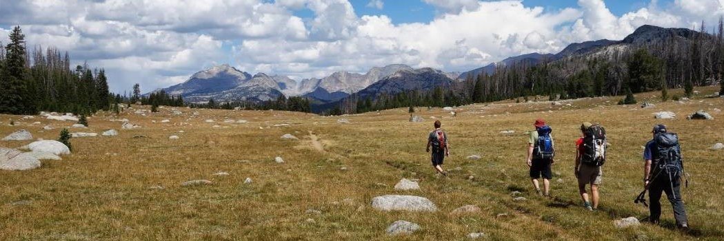 Bradford Hirsch banner