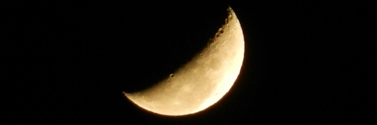 jonnyjapa's profile banner image