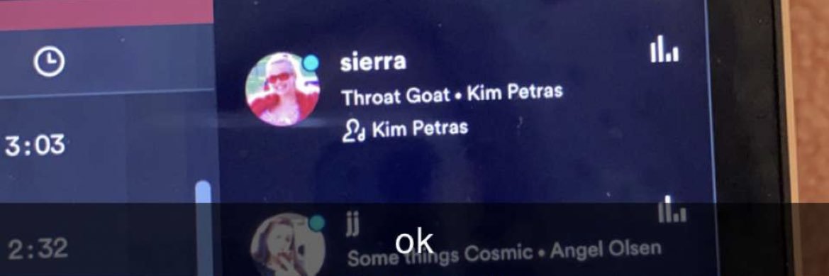 sierra's banner