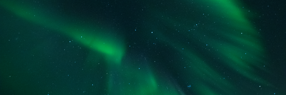 Yla 🇪🇺🌻 banner