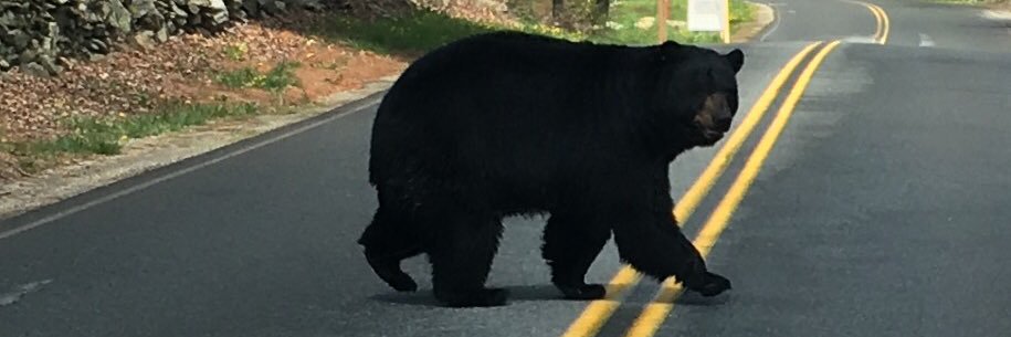 Jonathan Thompson banner