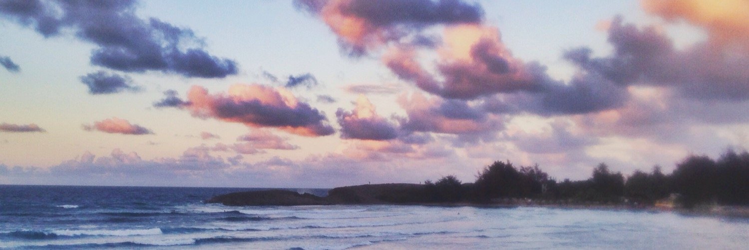 scottgershen's profile banner image