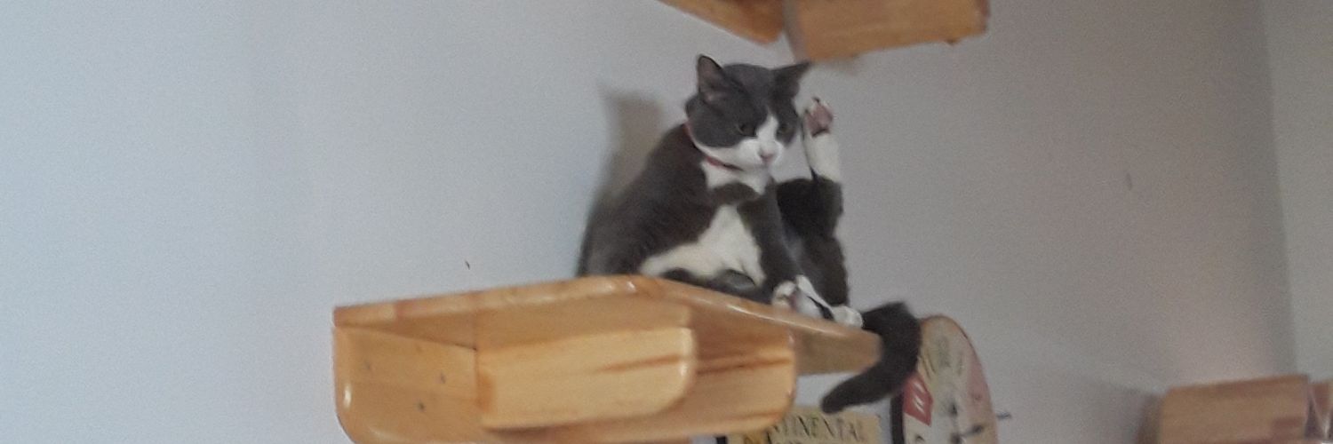 PuiiKarl's profile banner image
