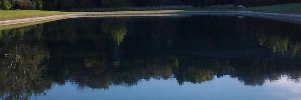 Peterdragon55's profile banner image
