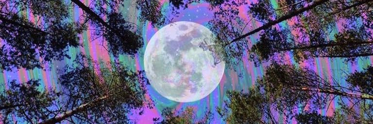austinn_jackson's profile banner image