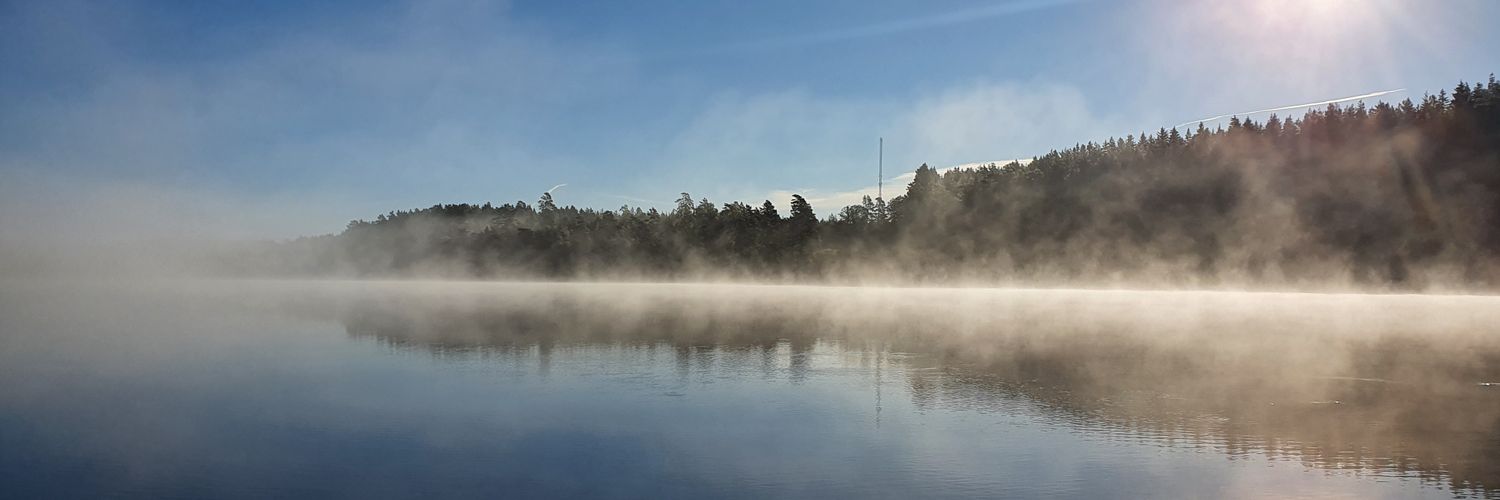 Max Wikström banner