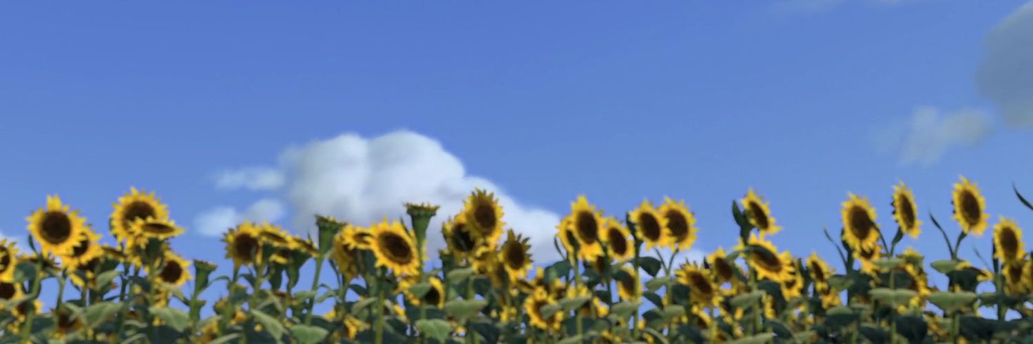 Rachel Collins banner