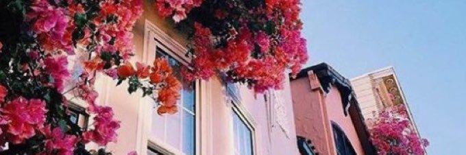 aiysha49's profile banner image