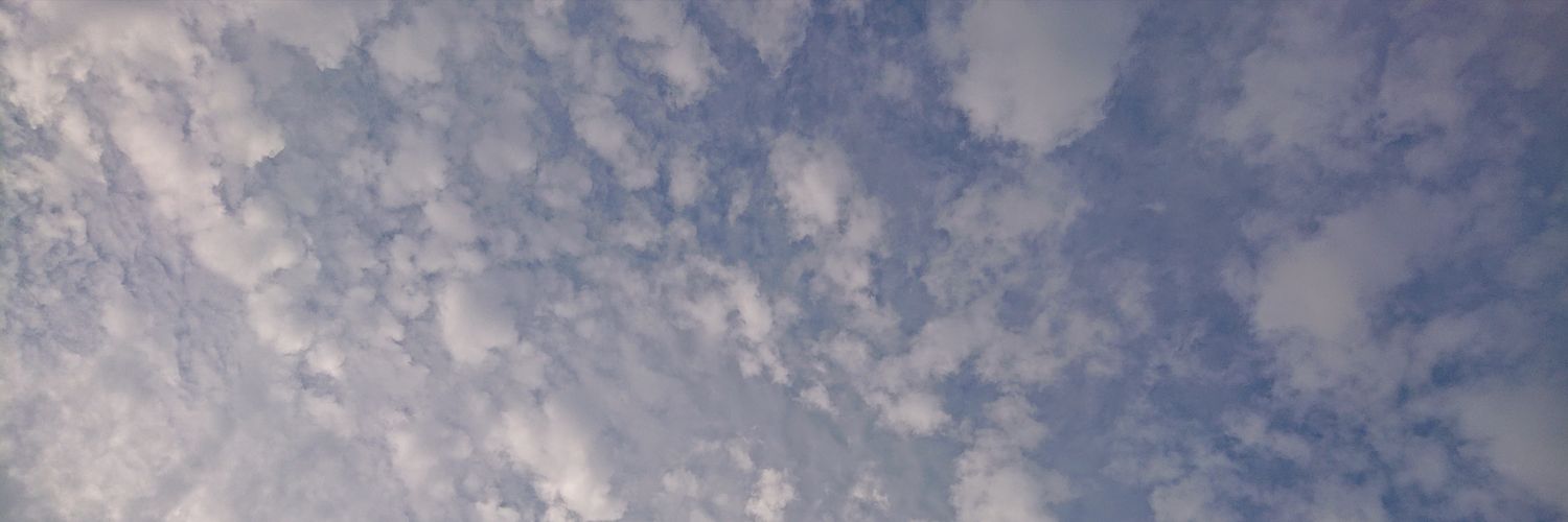 panelights's profile banner image