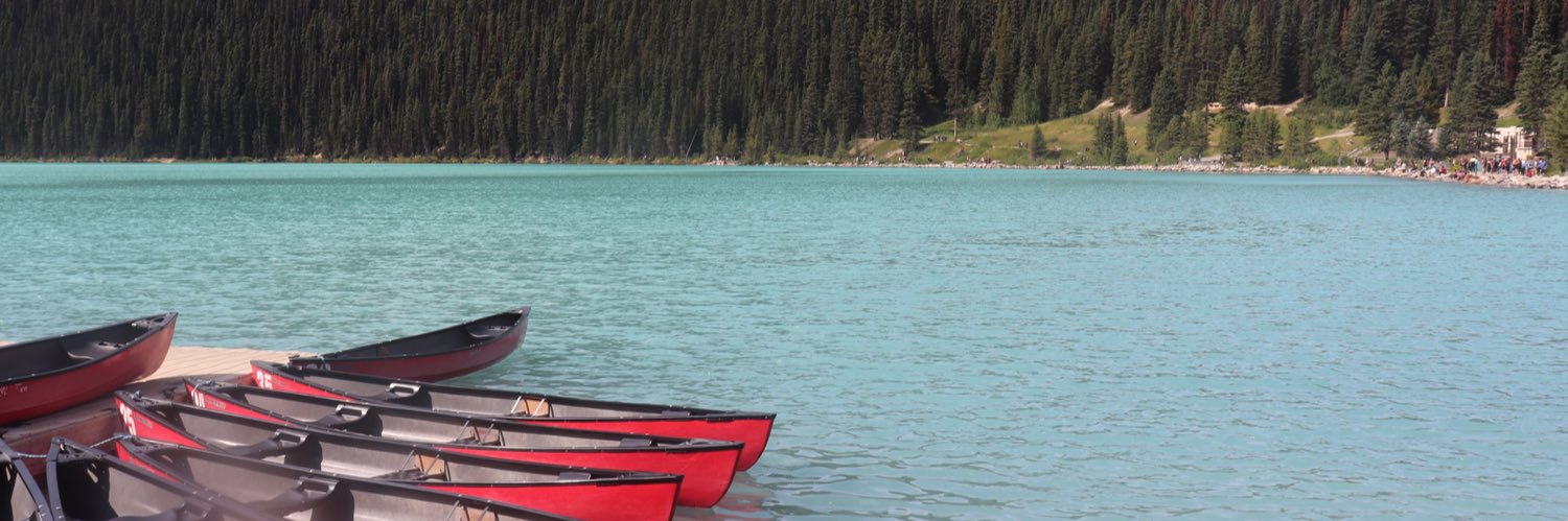 lindseybrouwer's profile banner image