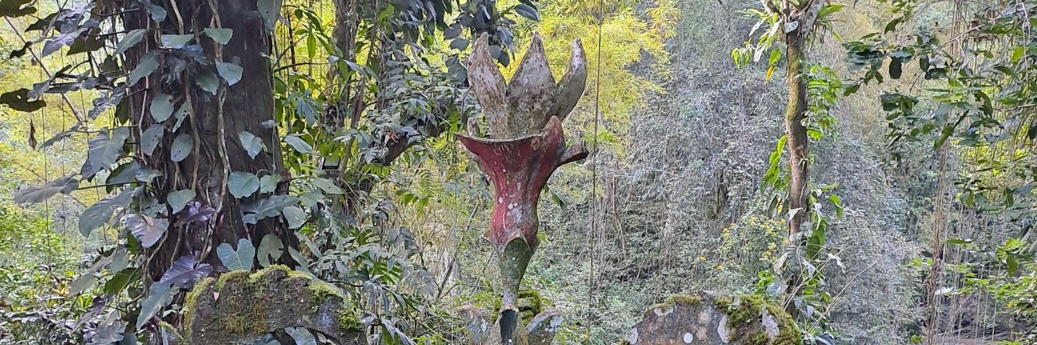 Roberto 🇲🇽 CDMX banner