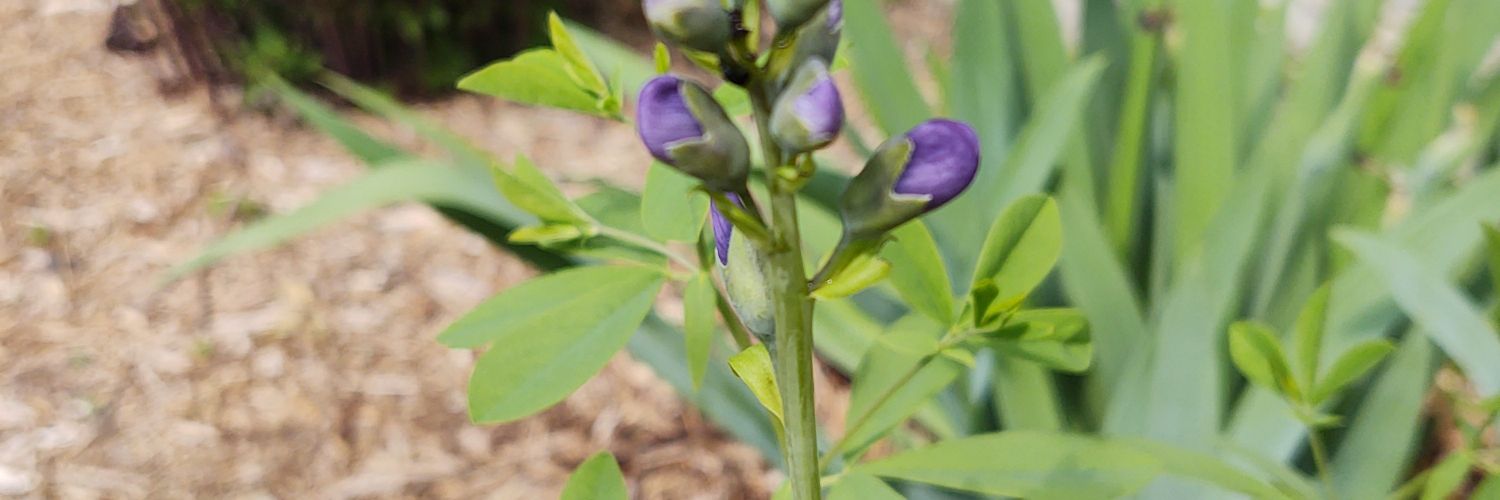 Matt Germonprez (he/him) banner