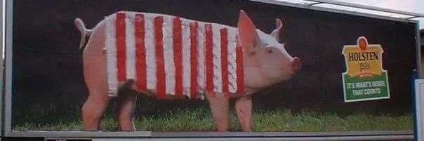 Matthew williams banner