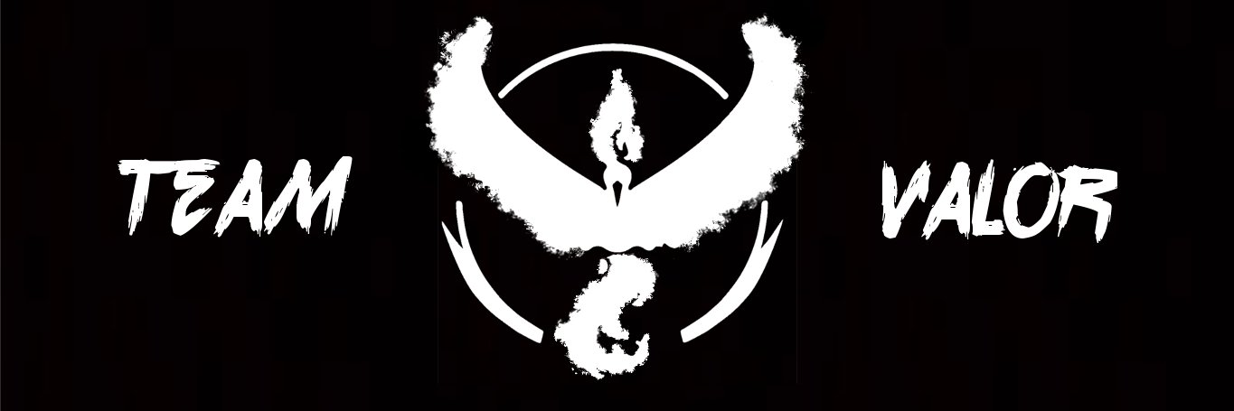 GO_TeamValor's profile banner image