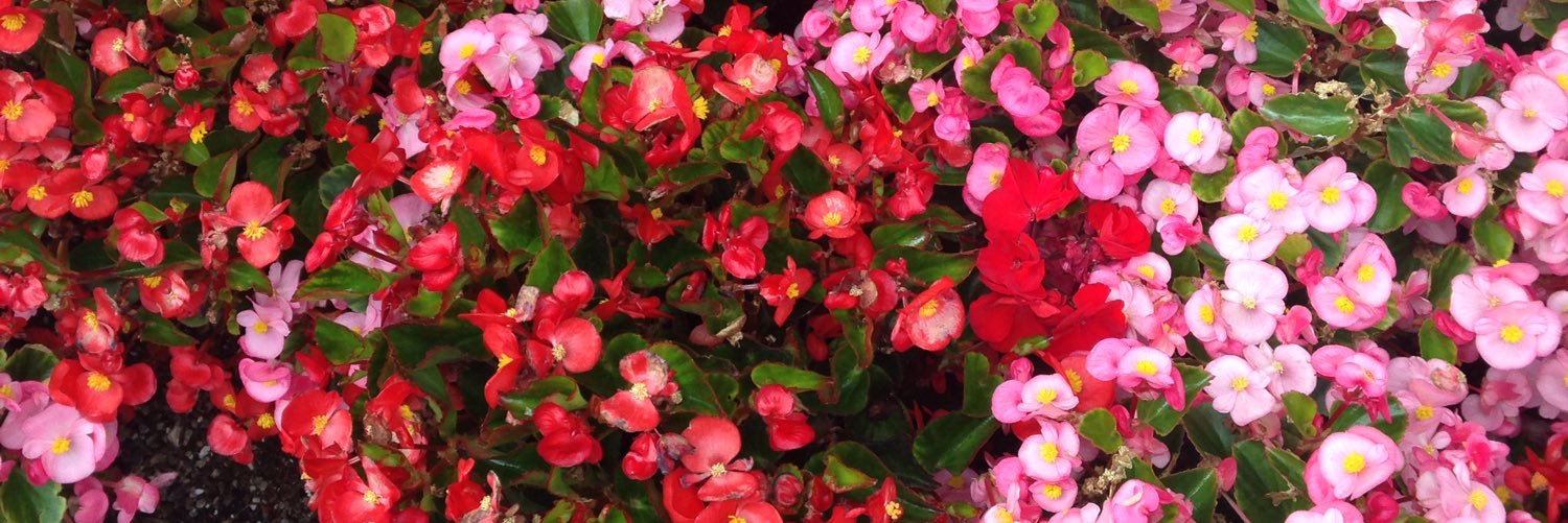 shay58607's profile banner image