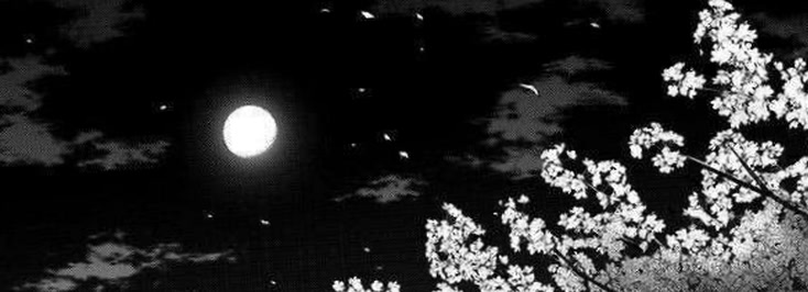 cutieluna73's profile banner image