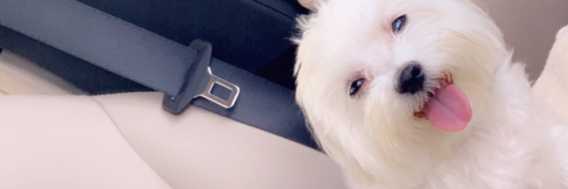 sheisprissy's profile banner image