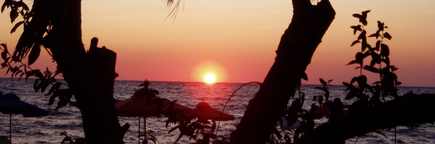 CollinsRos's profile banner image