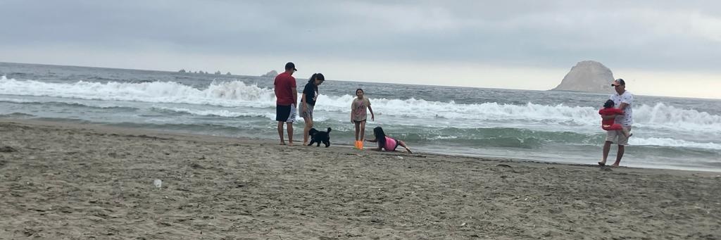 David Fernández. banner