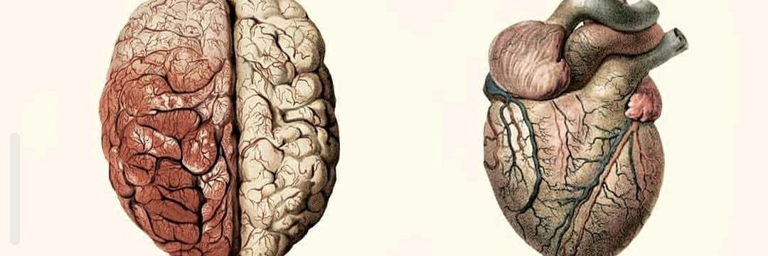 Ey Rafa!!! ¡¡¡Potty mouth!!! Yuck... banner