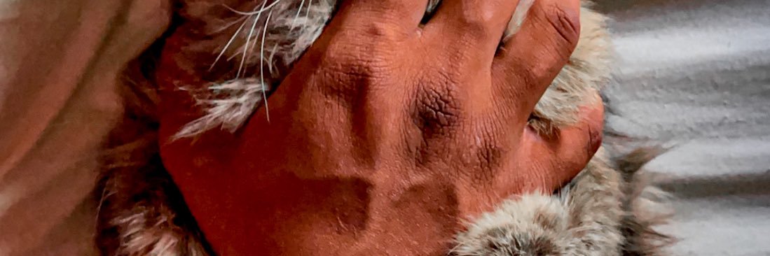 9xf21's profile banner image