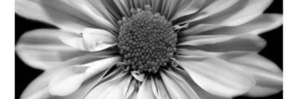 mnichelle95's profile banner image