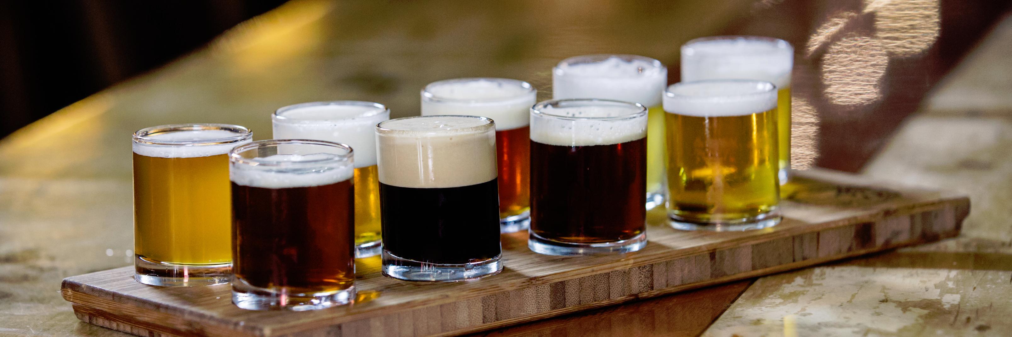 ThirstyBearBrew's profile banner image