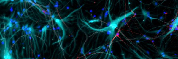 DanCF93 Profile Banner