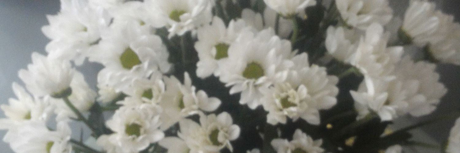 LilliFB's profile banner image