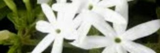 samoora64's profile banner image