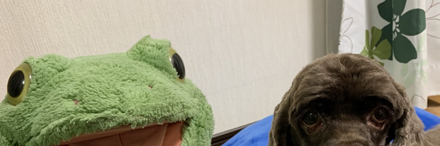 mayumingy's profile banner image
