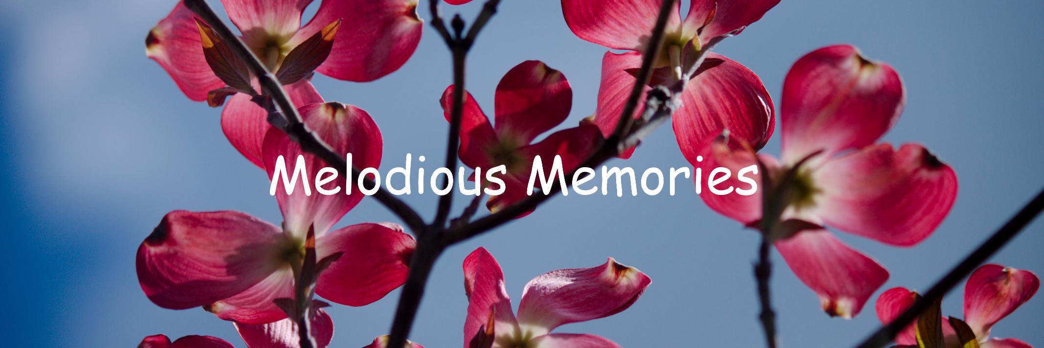 CbusPhotog's profile banner image