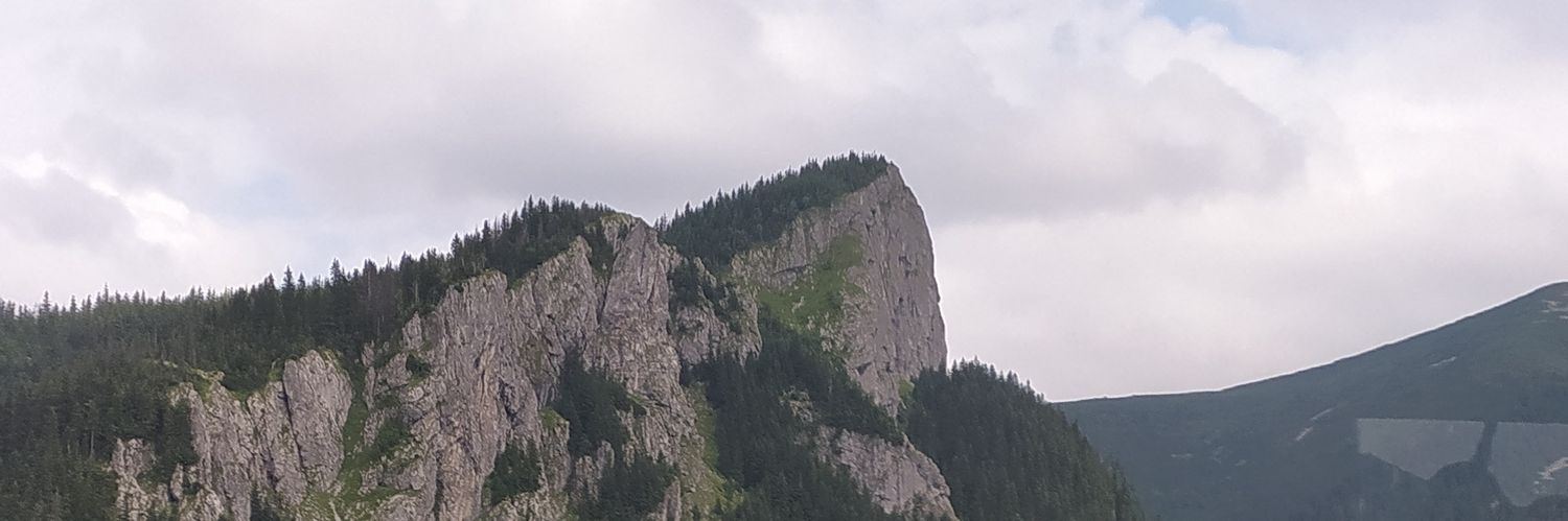 wilfryed 🦇 banner