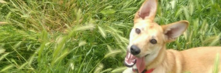 Andreaa_Breea's profile banner image